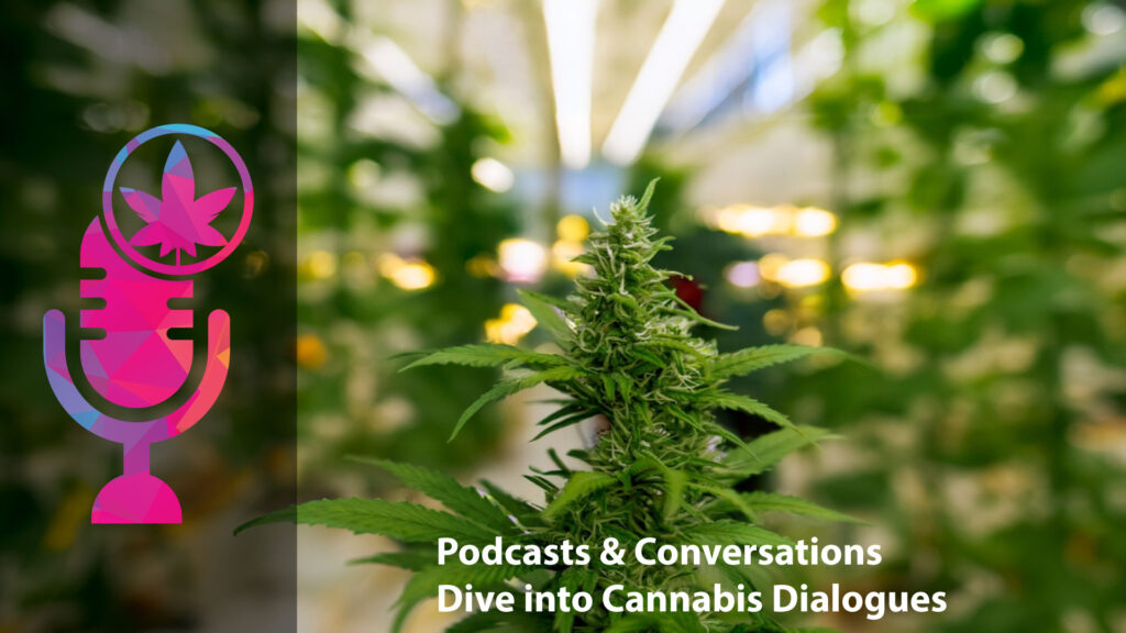 Podcasts & Conversations – Explore engaging discussions and insights into the cannabis world.