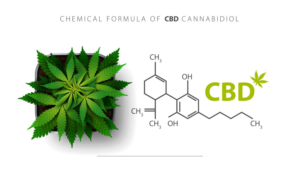 Science & Innovation – Discover groundbreaking research and advancements shaping the future of cannabis.