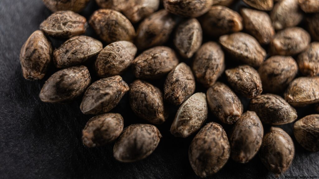 RollingCanna.com Seeds for growing marijuana