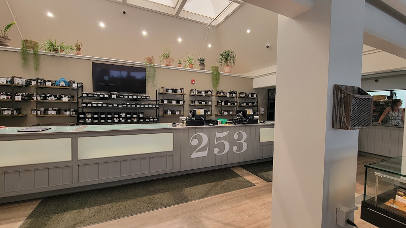 253 Farmacy Weed Dispensary exterior view showcasing professional Cannabis store services in Turners Falls, Massachusetts