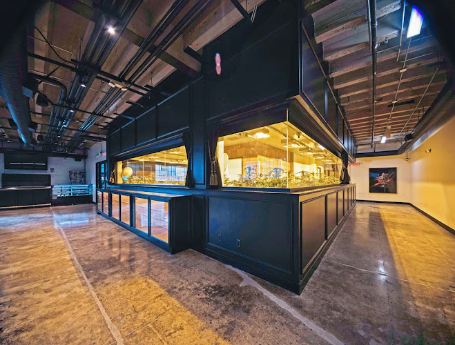 Arts District Cannabis exterior view showcasing professional Cannabis store services in Los Angeles, California