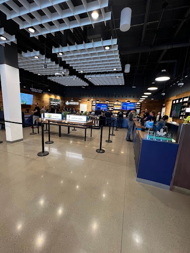 Ascend Cannabis Recreational and Medical Dispensary – Rochelle Park | Trusted Ascend Cannabis Recreational and Medical Dispensary – Rochelle Park,Ascend Cannabis Recreational And Medical Dispensary Rochelle Park,https://letsascend.com/locations/new-jersey/rochelle-park/?y_source=1_Mjc2OTg3ODEtNzE1LWxvY2F0aW9uLndlYnNpdGU,Coshocton Marijuana Dispensary – Ascend Cannabis,”cannabis store, 8512, Cranbury, NJ, US”,”Cannabis store, Alternative medicine practitioner”,Cannabis store,+1 973-370-3150,”174 NJ-17, Rochelle Park, NJ 07662″,,174 NJ-17,Rochelle Park,New Jersey,07662,40.90372,-74.0711431,America/New_York,4.8,3536,”https://search.google.com/local/reviews?placeid=ChIJZe8Nv2H7wokRZAE6djxRyr8&q=cannabis+store,+8512,+Cranbury,+NJ,+US&authuser=0&hl=en&gl=US”,https://lh5.googleusercontent.com/p/AF1QipMgz5Lu0jT9n7hHbqcDQEM3OWB6AGuQD7mRD4Qb=w800-h500-k-no,https://lh5.googleusercontent.com/p/AF1QipMgz5Lu0jT9n7hHbqcDQEM3OWB6AGuQD7mRD4Qb=w1600-h1000-k-no,Sunday: 9AM-9PM,Monday: 10AM-9PM,Tuesday: 10AM-10PM,Wednesday: 10AM-10PM,Thursday: 10AM-10PM,Friday: 10AM-10PM,Saturday: 9AM-10PM,https://www.facebook.com/AscendHorizonDr,https://www.instagram.com/ascenddispensaries,,,, in Rochelle Park, New Jersey Ascend Cannabis Recreational and Medical Dispensary – Rochelle Park Rochelle Park New Jersey