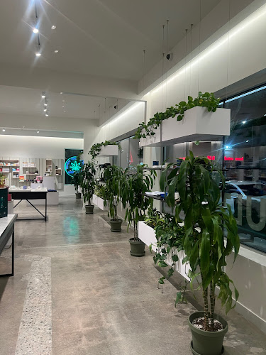 Ball Family Farms Retail exterior view showcasing professional Cannabis store services in Los Angeles, California