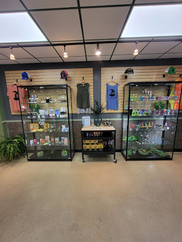 Black Bear Dispensary exterior view showcasing professional Cannabis store services in Pittsburgh, Pennsylvania