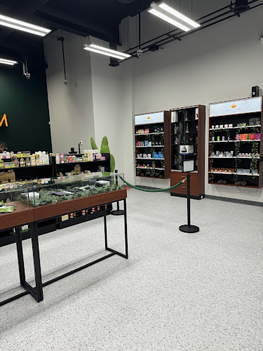 Blossom Dispensary Jersey City exterior view showcasing professional Cannabis store services in Jersey City, New Jersey