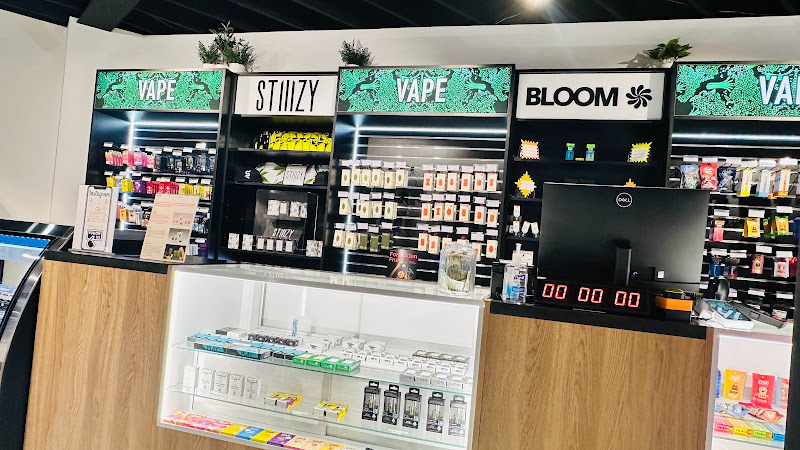 Broccoli Cannabis Weed Dispensary Los Angeles exterior view showcasing professional Cannabis store services in Los Angeles, California