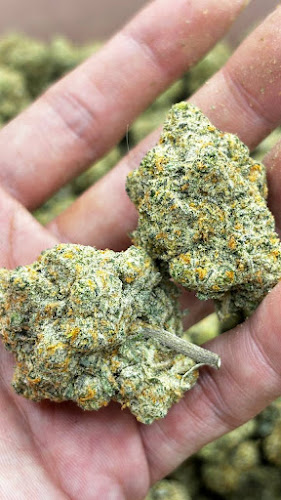 Brooklyn weed & cannabis delivery dispensary exterior view showcasing professional Cannabis store services in Brooklyn, New York