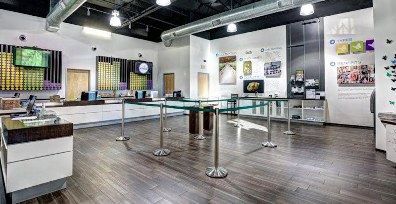 Buddy’s Bodega exterior view showcasing professional Cannabis store services in Brooklyn, New York