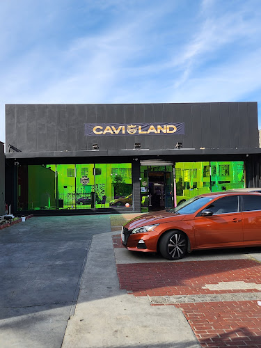 Cavi Land exterior view showcasing professional Cannabis store services in West Hollywood, California