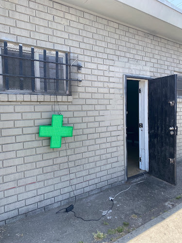 Central Herbs exterior view showcasing professional Cannabis store services in Los Angeles, California