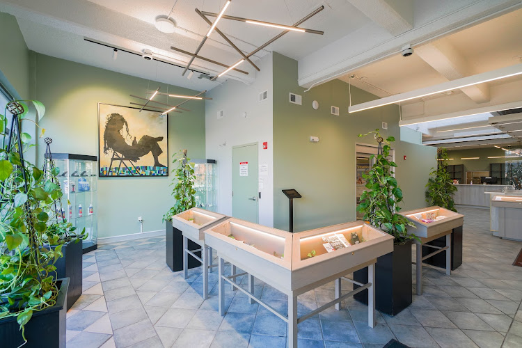 Comm Ave Canna: Recreational Cannabis Dispensary, Boston – Brookline MA | Trusted “Comm Ave Canna: Recreational Cannabis Dispensary, Boston – Brookline MA”,Comm Ave Canna: Recreational Cannabis Dispensary Boston Brookline Ma,https://commavecanna.com/,”Comm Ave Canna | Cannabis Dispensary, Brookline MA”,”cannabis store, 2163, Boston, MA, US”,Cannabis store,Cannabis store,+1 617-618-5430,”1030 Commonwealth Ave Second Floor, Boston, MA 02215″,,1030 Commonwealth Ave Second Floor,Boston,Massachusetts,02215,42.3516597,-71.1221117,America/New_York,5,423,”https://search.google.com/local/reviews?placeid=ChIJI6IMAfB544kRg3_n7hUKJVY&q=cannabis+store,+2163,+Boston,+MA,+US&authuser=0&hl=en&gl=US”,https://lh5.googleusercontent.com/p/AF1QipOsJYPjOnPTpLSTTmyEVBNMCIxht7eHx_I5K0Os=w800-h500-k-no,https://lh5.googleusercontent.com/p/AF1QipOsJYPjOnPTpLSTTmyEVBNMCIxht7eHx_I5K0Os=w1600-h1000-k-no,Monday: 10AM-9PM,Tuesday: 10AM-9PM,Wednesday: 10AM-9PM,Thursday: 10AM-9PM,Friday: 10AM-9PM,Saturday: 10AM-9PM,Sunday: 12-7PM,https://www.facebook.com/commavecanna/,https://www.instagram.com/commavecanna,https://www.linkedin.com/company/commavecanna/,,https://twitter.com/commavecanna, in Boston, Massachusetts Comm Ave Canna: Recreational Cannabis Dispensary, Boston – Brookline MA Boston Massachusetts