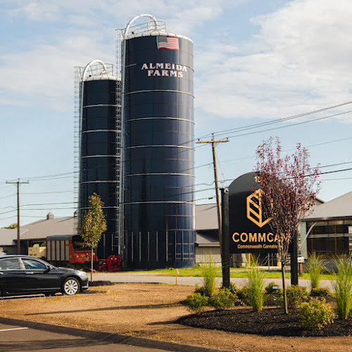 CommCan, Inc. - Recreational & Medical Cannabis Dispensary exterior view showcasing professional Cannabis store services in Rehoboth, Massachusetts