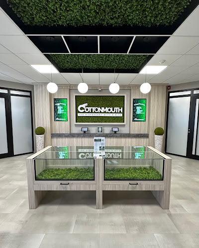 Cottonmouth Dispensary exterior view showcasing professional Cannabis store services in Runnemede, New Jersey