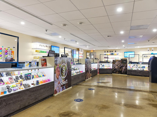 Curaleaf Dispensary Youngtown exterior view showcasing professional Cannabis store services in Youngtown, Arizona