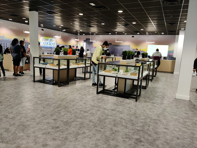 Curaleaf NJ Edgewater Park | Trusted Curaleaf NJ Edgewater Park,Curaleaf Nj Edgewater Park,https://curaleaf.com/dispensary/new-jersey/curaleaf-nj-edgewater-parkutm_sourcegoogleutm_mediumgmbutm_campaigngmb-menu,Find Marijuana Dispensaries Near You | Curaleaf – Curaleaf,”cannabis store, 8518, Florence, NJ, US”,”Cannabis store, Alternative medicine practitioner, Herbal medicine store, Holistic medicine practitioner”,Cannabis store,+1 609-232-7690,”4237 US-130, Edgewater Park, NJ 08010″,,4237 US-130,Edgewater Park,New Jersey,08010,40.0417387,-74.9133667,America/New_York,4.4,1288,https://search.google.com/local/reviews?placeid=ChIJUcHSC_5LwYkRGJxw_3MbjZY&q=*&authuser=0&hl=en&gl=US,https://lh5.googleusercontent.com/p/AF1QipPB9gcd01zu3vi9Zv_UKxrRCmfeHSVCg2w5hve9=w800-h500-k-no,https://lh5.googleusercontent.com/p/AF1QipPB9gcd01zu3vi9Zv_UKxrRCmfeHSVCg2w5hve9=w1600-h1000-k-no,Sunday: 8AM-9PM,Monday: 8AM-9PM,Tuesday: 8AM-9PM,Wednesday: 8AM-9PM,Thursday: 8AM-9PM,Friday: 8AM-9PM,Saturday: 8AM-9PM,https://www.facebook.com/CuraleafInc/,https://www.instagram.com/p,https://www.linkedin.com/company/curaleaf,,https://twitter.com/curaleafmd,https://www.youtube.com/channel/UCjD4LUBOWFUxXmysQ06NPsQ in Edgewater Park, New Jersey Curaleaf NJ Edgewater Park  Edgewater Park New Jersey