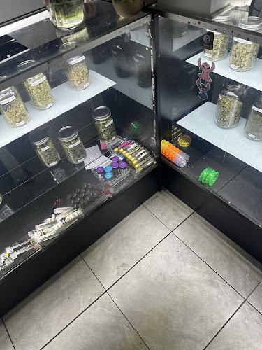 Daily Meds exterior view showcasing professional Cannabis store services in Los Angeles, California