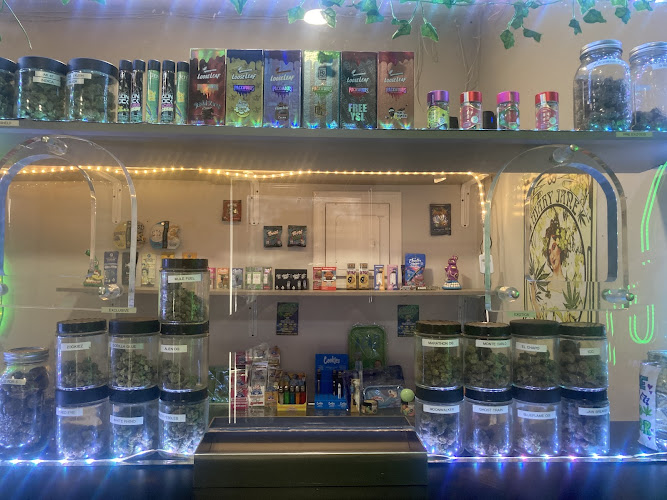 Dank city la exterior view showcasing professional Cannabis store services in Los Angeles, California