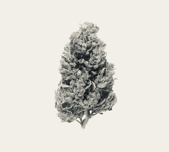 Everyday Cannabis exterior view showcasing professional Cannabis store services in ,