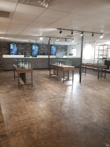 Greenlight Medical Marijuana Dispensary Princeton | Trusted Greenlight Medical Marijuana Dispensary Princeton,Greenlight Medical Marijuana Dispensary Princeton,https://greenlightdispensary.com/princeton,Find A Quality Marijuana Dispensary – Greenlight Dispensary,”cannabis store, 26521, Blacksville, WV, US”,”Cannabis store, Alternative medicine practitioner, Herbal medicine store, Holistic medicine practitioner”,Cannabis store,+1 304-250-3029,”112 Expert Cir, Princeton, WV 24739″,,112 Expert Cir,Princeton,West Virginia,24739,37.3429182,-81.127133,America/New_York,4.8,85,”https://search.google.com/local/reviews?placeid=ChIJi9GahqBrTogRkMvV05Hlvko&q=cannabis+store,+26521,+Blacksville,+WV,+US&authuser=0&hl=en&gl=US”,https://lh5.googleusercontent.com/p/AF1QipPIzKMcnVemDlgXixonzLu9XMwKFS-lzt1k2F6E=w800-h500-k-no,https://lh5.googleusercontent.com/p/AF1QipPIzKMcnVemDlgXixonzLu9XMwKFS-lzt1k2F6E=w1600-h1000-k-no,Monday: 10AM-8PM,Tuesday: 10AM-8PM,Wednesday: 10AM-8PM,Thursday: 10AM-8PM,Friday: 10AM-8PM,Saturday: 10AM-8PM,Sunday: 10AM-8PM,https://www.facebook.com/greenlightdispensaries,https://www.instagram.com/greenlight.nevada,,,, in Princeton, West Virginia Greenlight Medical Marijuana Dispensary Princeton Princeton West Virginia