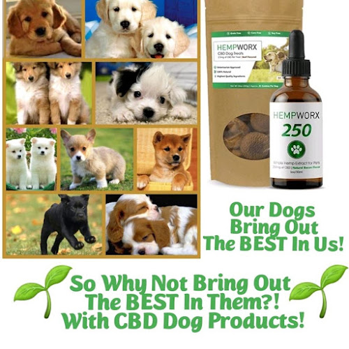 Hempworx exterior view showcasing professional Cannabis store services in ,