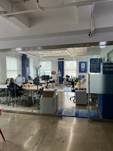 Lucid Green exterior view showcasing professional Cannabis store services in New York, New York