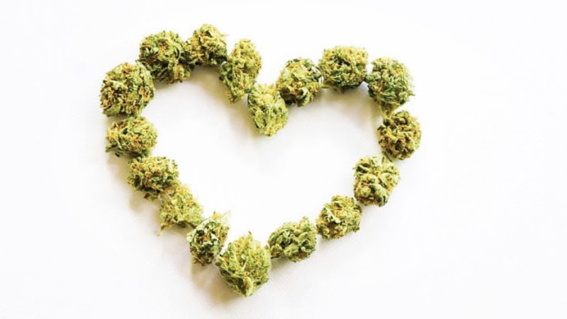 Luxxe Organics exterior view showcasing professional Cannabis store services in ,