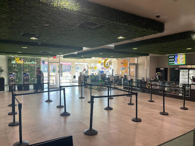 Mint Cannabis exterior view showcasing professional Cannabis store services in Phoenix, Arizona