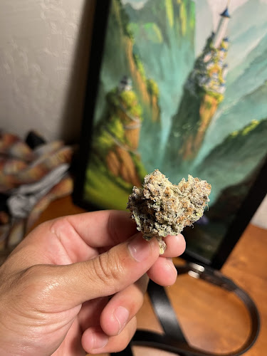 Natural Elevation NE exterior view showcasing professional Cannabis store services in Washington, District Of Columbia