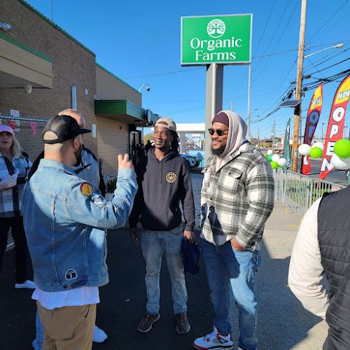 Organic Farms exterior view showcasing professional Cannabis store services in Camden, New Jersey