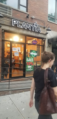 Plantia exterior view showcasing professional Cannabis store services in Brooklyn, New York
