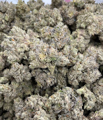 Pushing Ps Cannabis Dispensary exterior view showcasing professional Alternative medicine practitioner services in Los Angeles, California