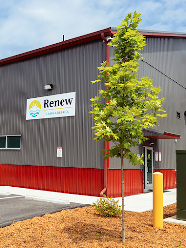Renew Cannabis Co. exterior view showcasing professional Cannabis store services in Berkley, Massachusetts