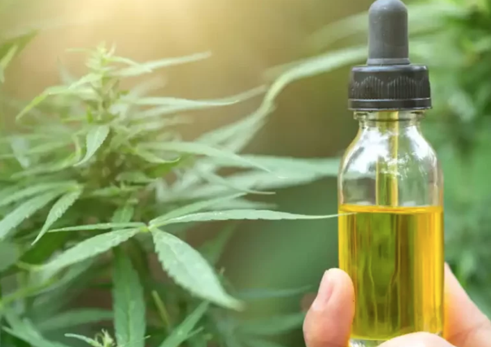 Rick Simpson Oil (RSO Oil) exterior view showcasing professional Cannabis store services in ,