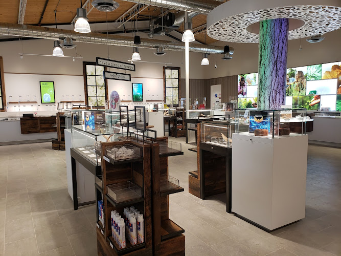 Story Cannabis Grand Glendale exterior view showcasing professional Cannabis store services in Glendale, Arizona