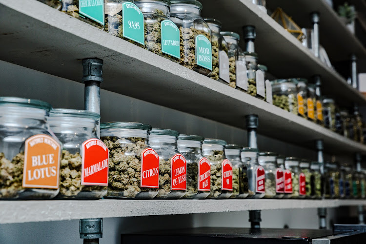 Story Cannabis Mechanicsville exterior view showcasing professional Cannabis store services in Mechanicsville, Maryland