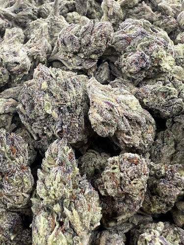 Tribal Leaf exterior view showcasing professional Cannabis store services in Washington, District Of Columbia