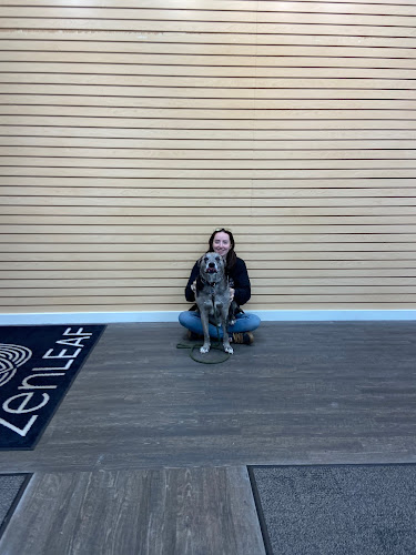 Zen Leaf Buckhannon exterior view showcasing professional Cannabis store services in Buckhannon, West Virginia