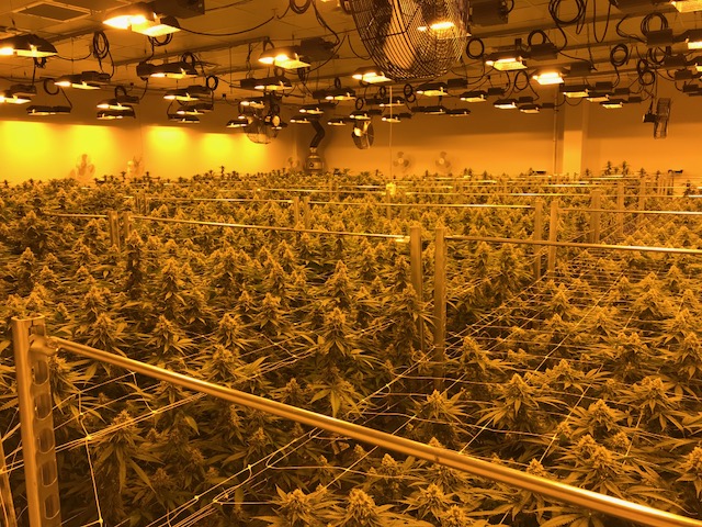 gLeaf Rockville exterior view showcasing professional Cannabis store services in Rockville, Maryland